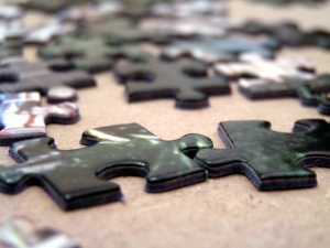 Puzzle Piece, by Wikimedia Commons user Crazy-phunk